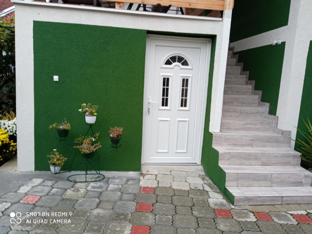 Guest House Vila Banjica Pirot Exterior foto