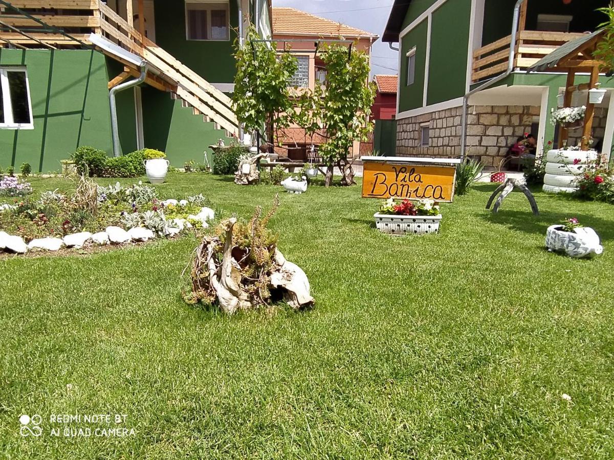 Guest House Vila Banjica Pirot Exterior foto